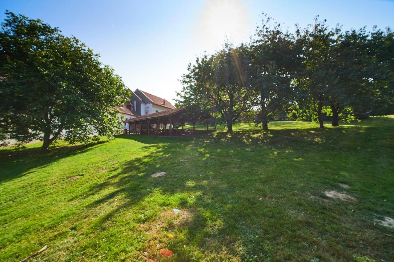 Penzion Zamek Lesany Netvorice Exterior photo