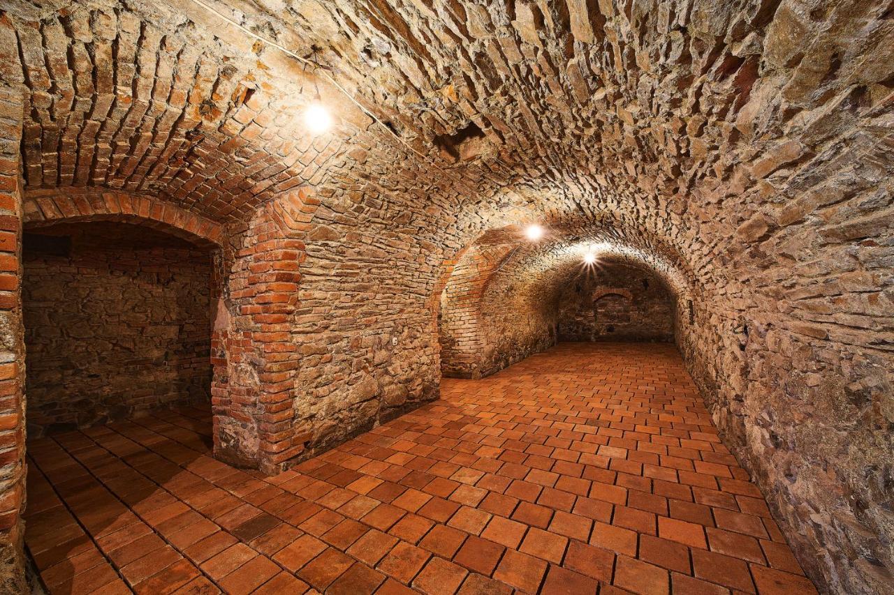 Penzion Zamek Lesany Netvorice Exterior photo