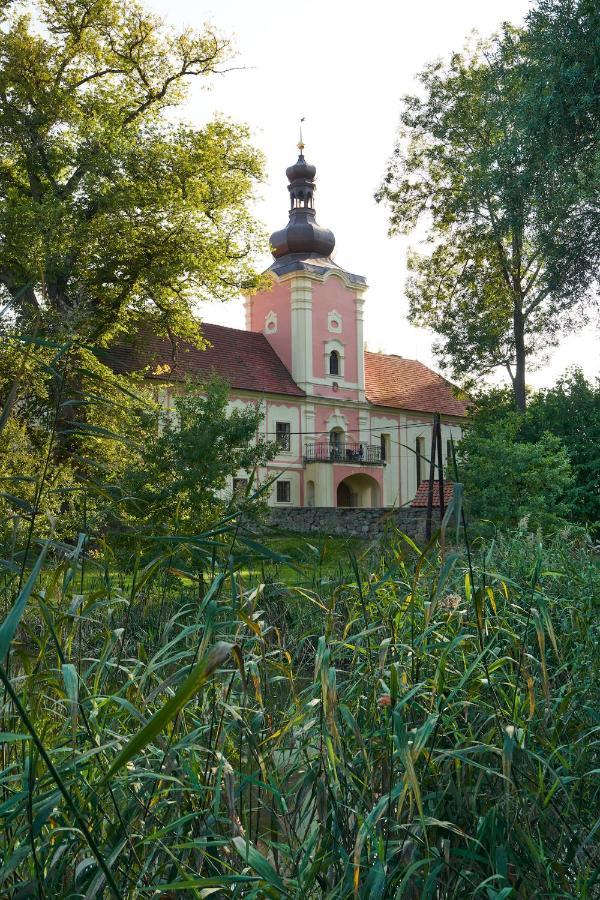 Penzion Zamek Lesany Netvorice Exterior photo