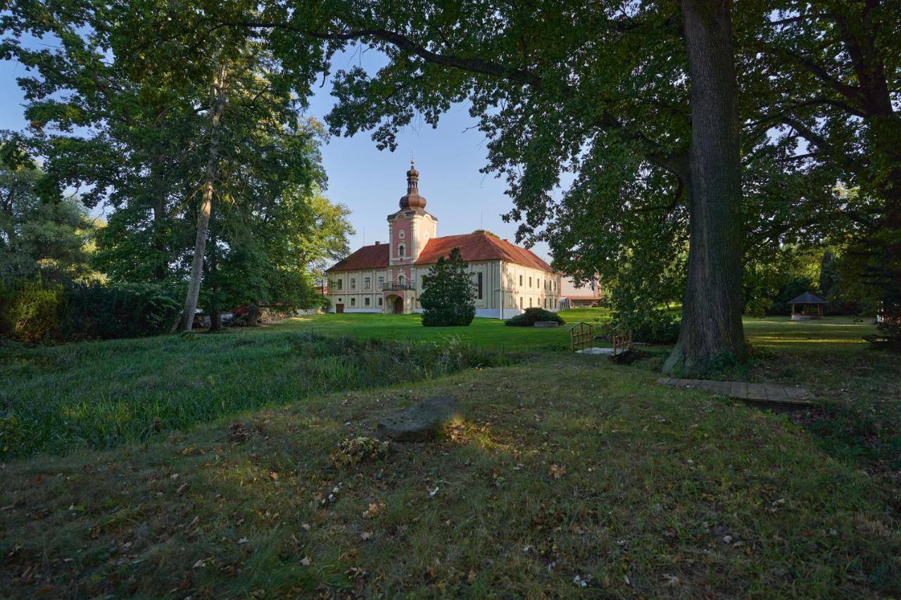 Penzion Zamek Lesany Netvorice Exterior photo