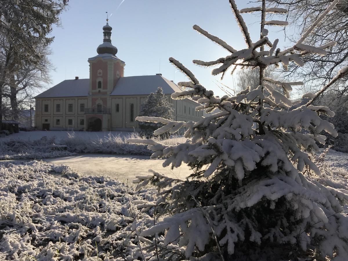 Penzion Zamek Lesany Netvorice Exterior photo